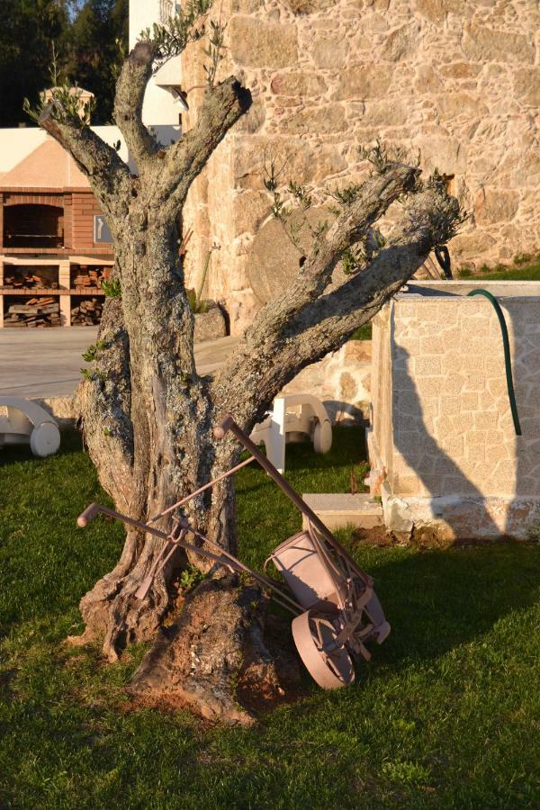 Vila Casa Da Trapa Oliveira de Azemeis Exteriér fotografie